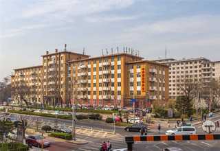 南京10号钢板报价