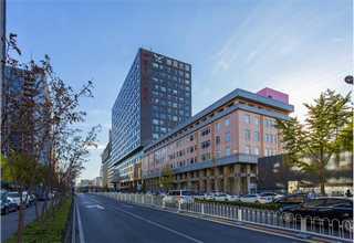 上海合成发酵品牌